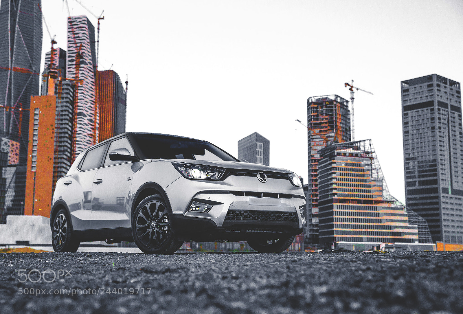 Canon EOS-1D X sample photo. Tivoli | ssangyong photography