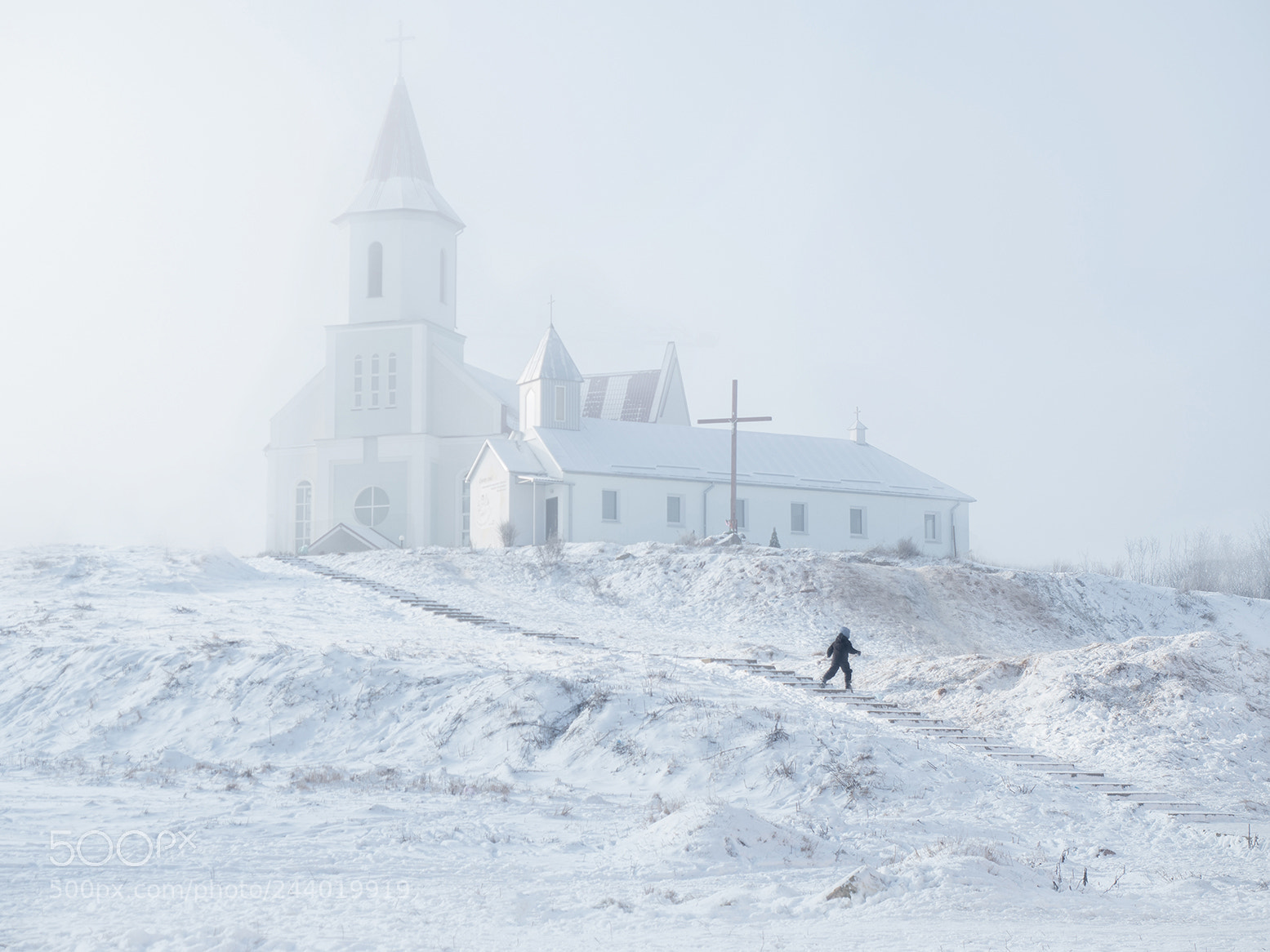 Olympus PEN-F sample photo. Winter fog photography