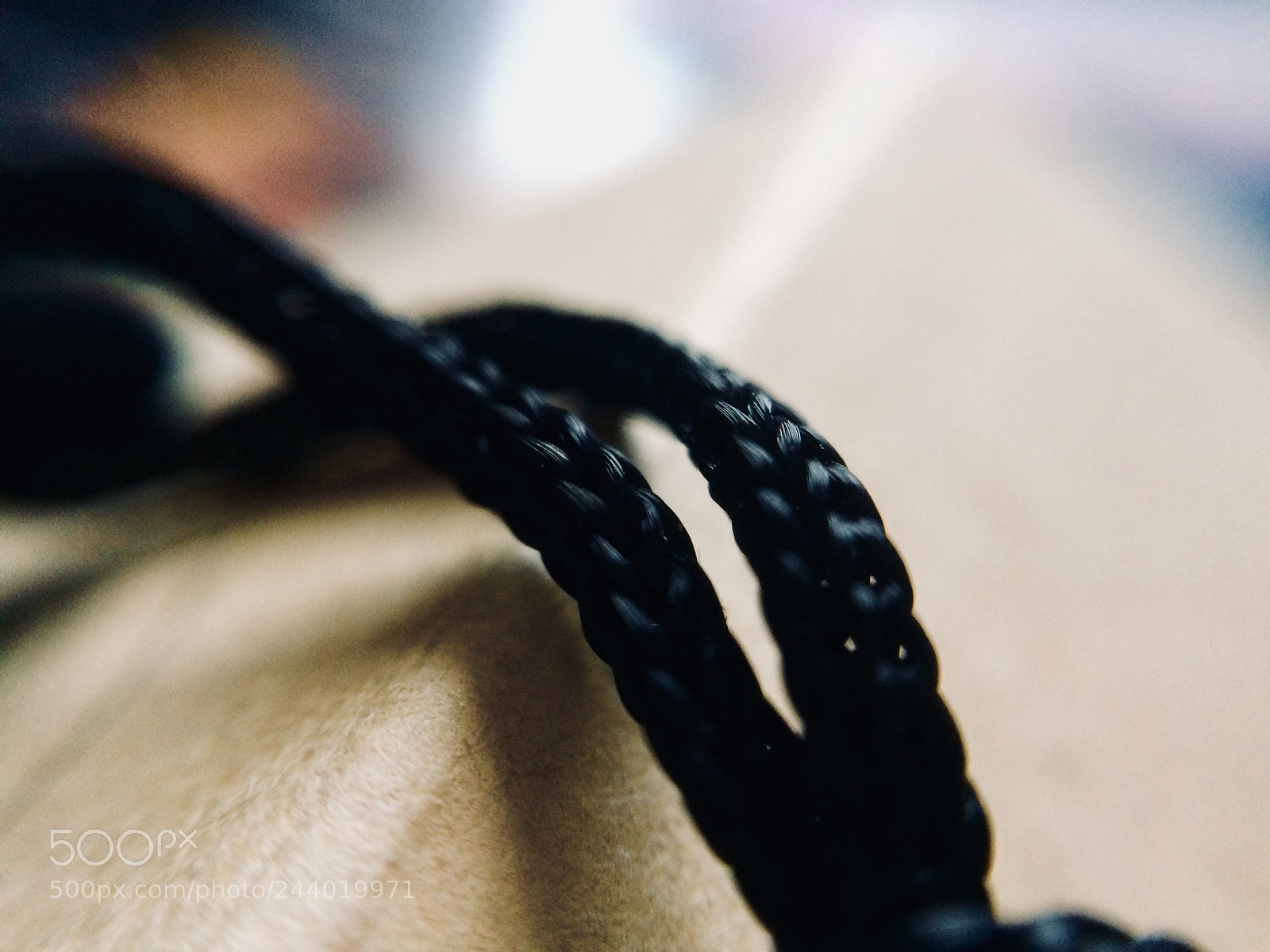 Apple iPhone 5s sample photo. Untitled photography