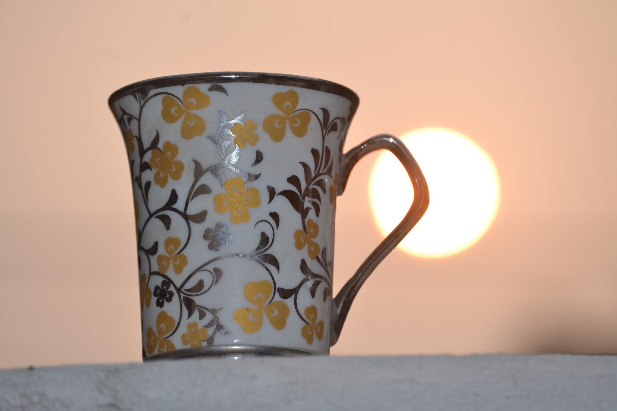 Nikon D3100 sample photo