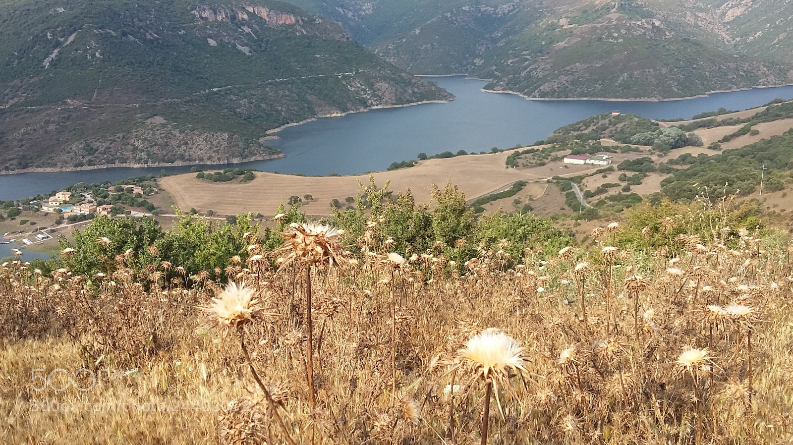 Samsung Galaxy A3 sample photo. Handy photography