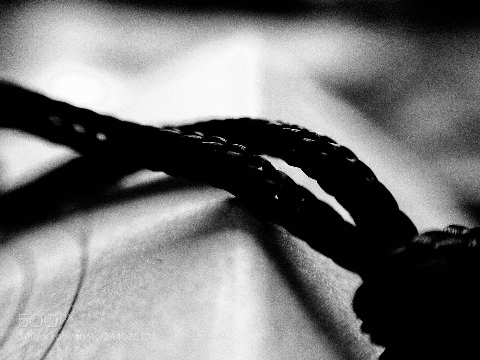 Apple iPhone 5s sample photo. Untitled photography