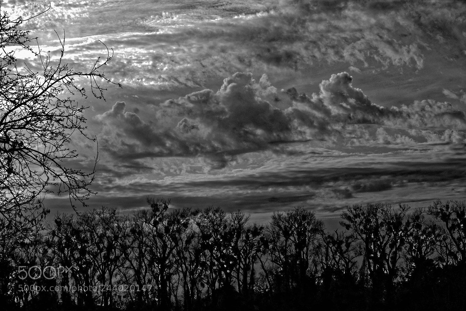 Fujifilm X-E2 sample photo. Sacramento river 83 photography