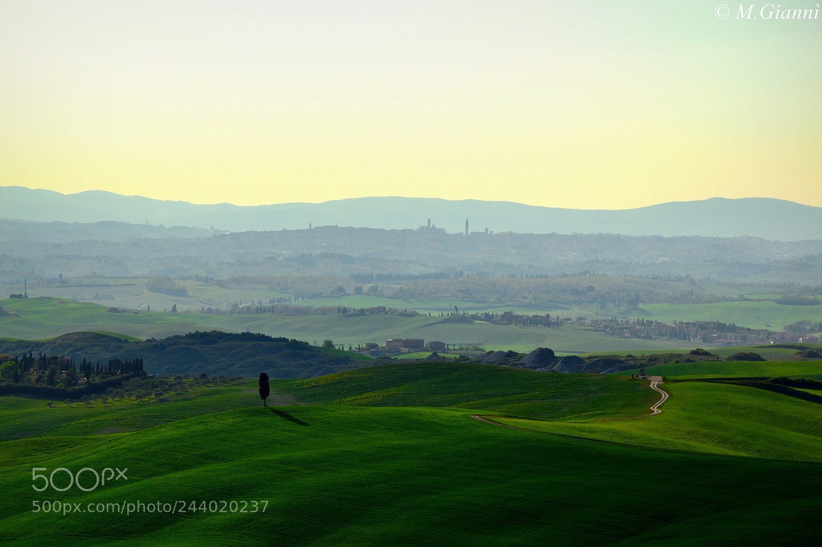Nikon D3100 sample photo. Siena (crete senesi) photography
