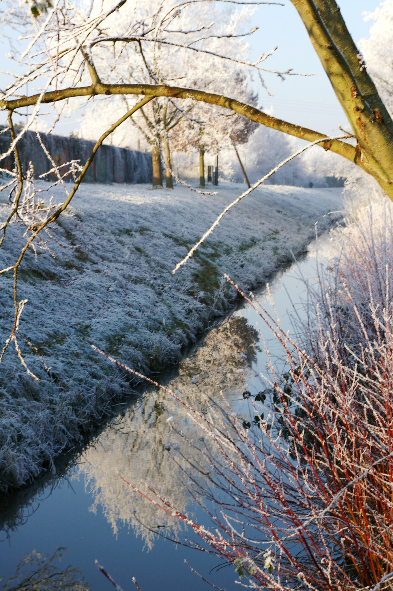 Pentax *ist DL sample photo. Winter photography