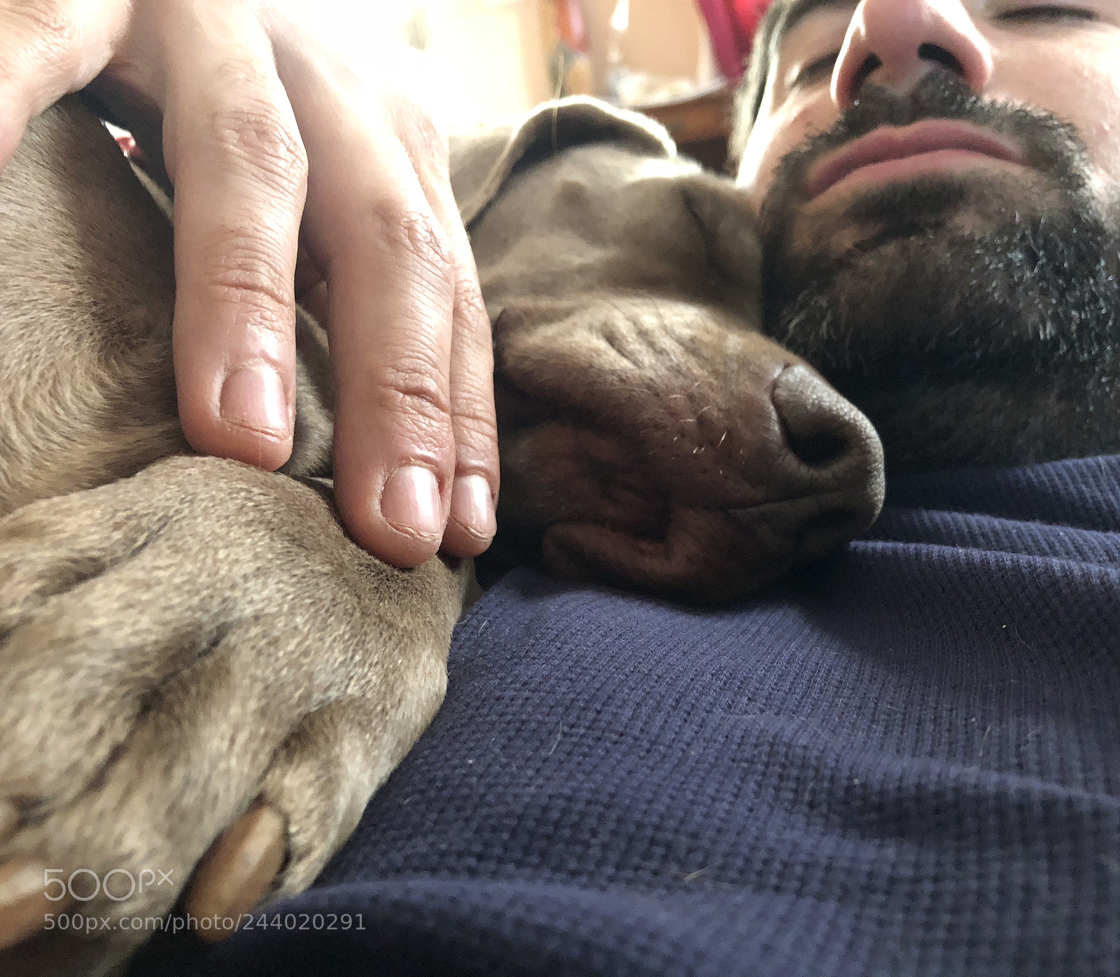 Apple iPhone X sample photo. Untitled photography