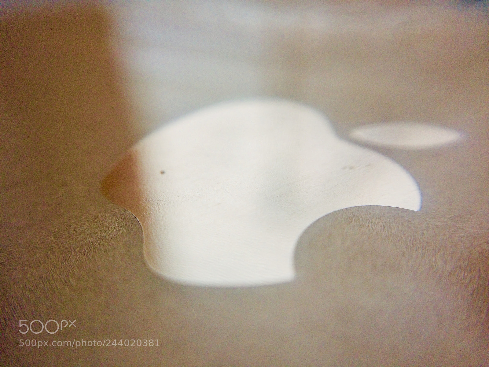 Apple iPhone 5s sample photo. Untitled photography