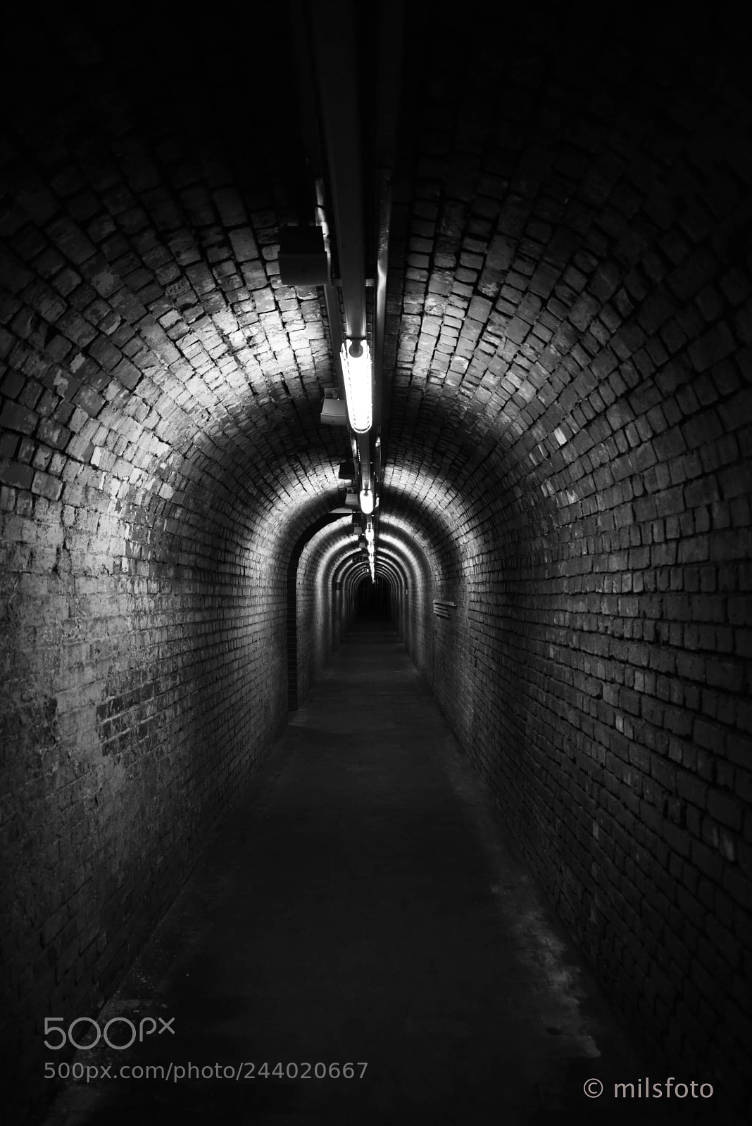 Nikon D810 sample photo. Underground passage-way photography