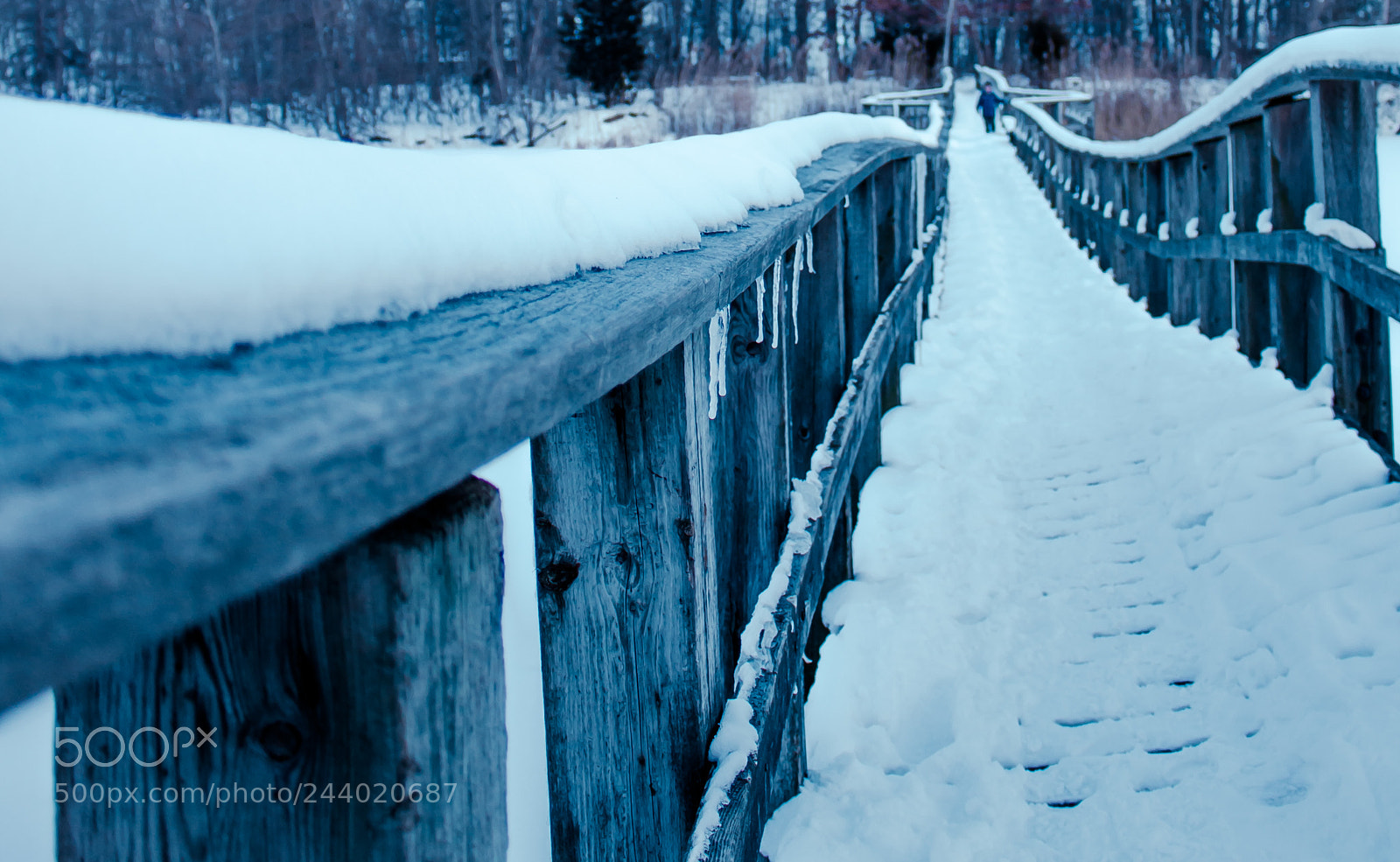 Canon EOS 750D (EOS Rebel T6i / EOS Kiss X8i) sample photo. Twisted bridge photography
