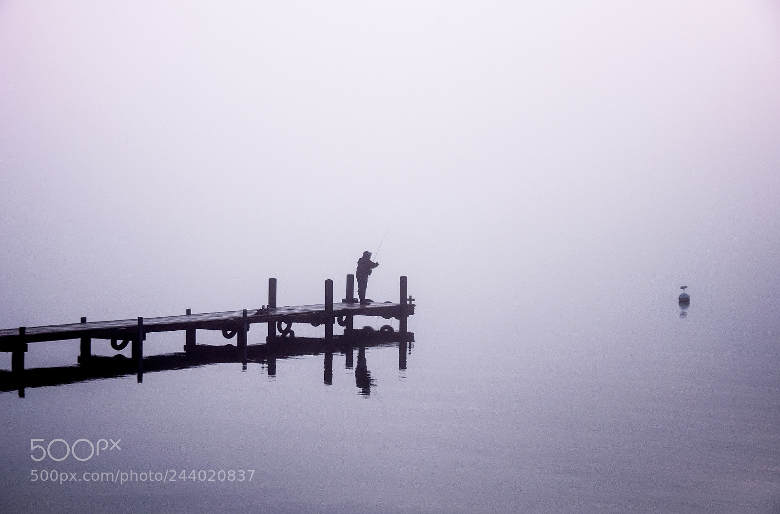 Nikon D90 sample photo. Morning mist photography