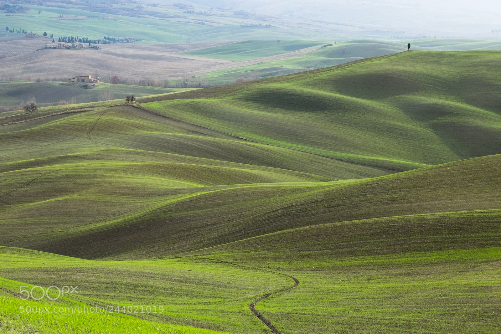 Fujifilm X-T10 sample photo. Val d'orcia photography