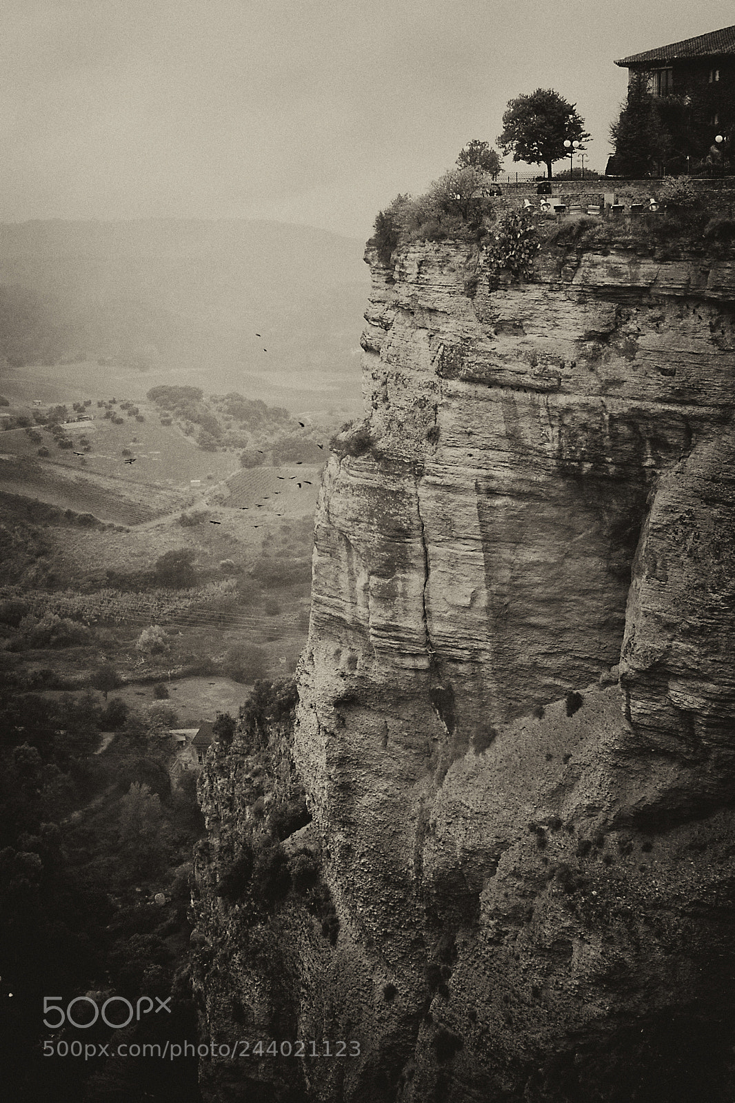 Canon EOS 10D sample photo. On the rock photography