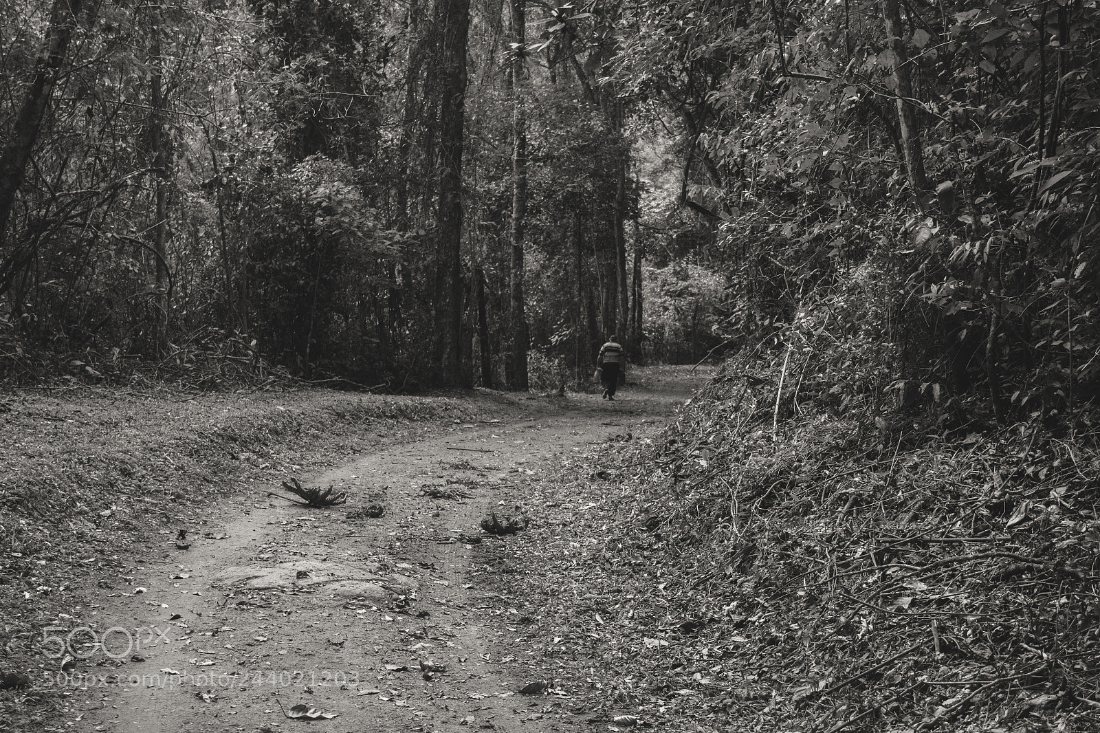 Canon EOS 60D sample photo. Nobody else will be photography