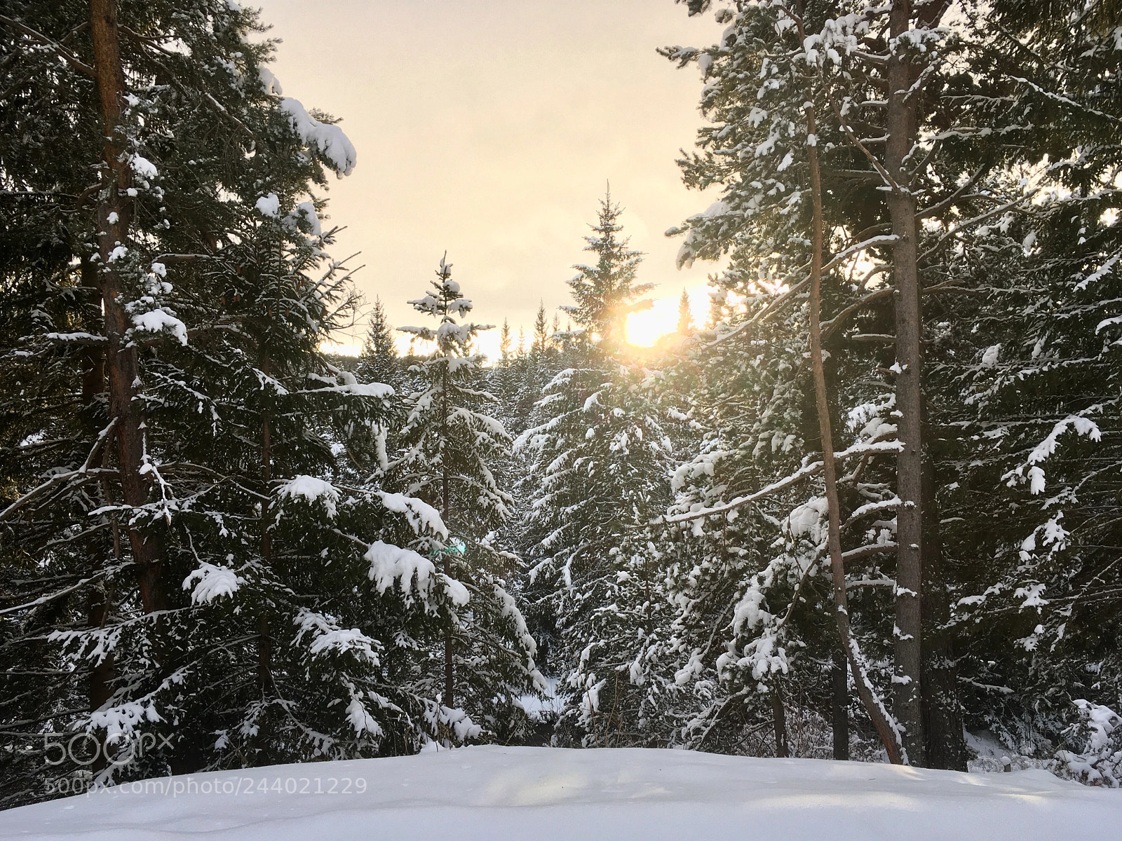 Apple iPhone SE sample photo. Snowy landscape photography