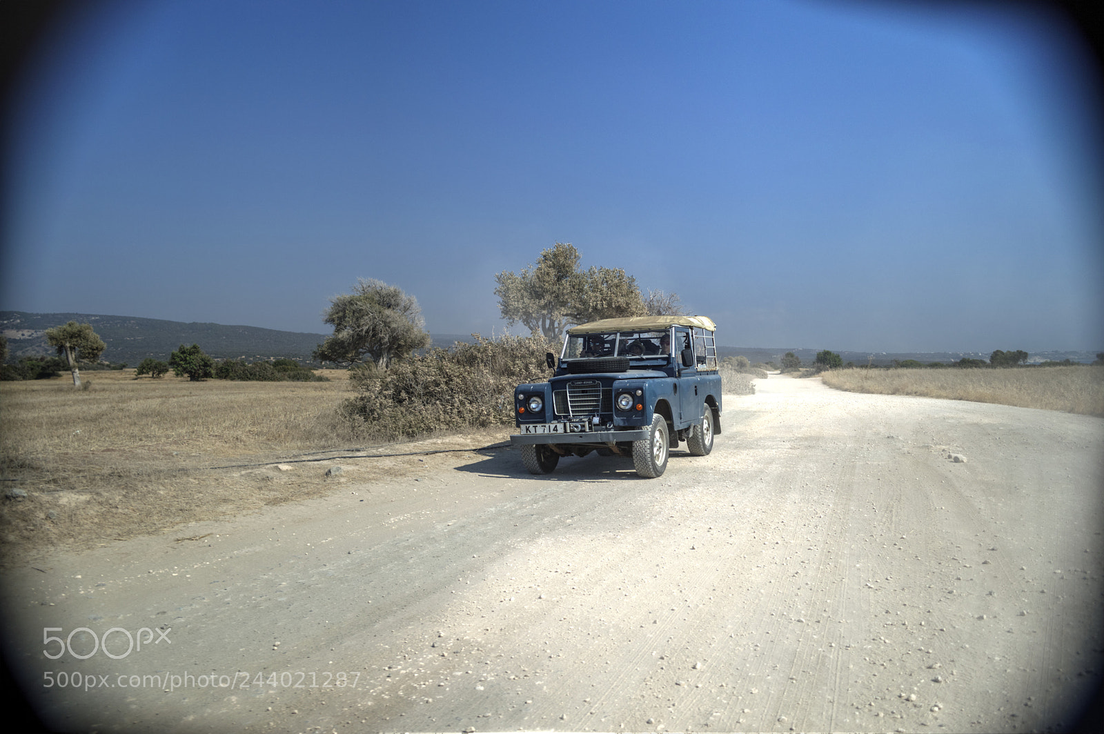 Nikon D3200 sample photo. Fear and loathing in photography