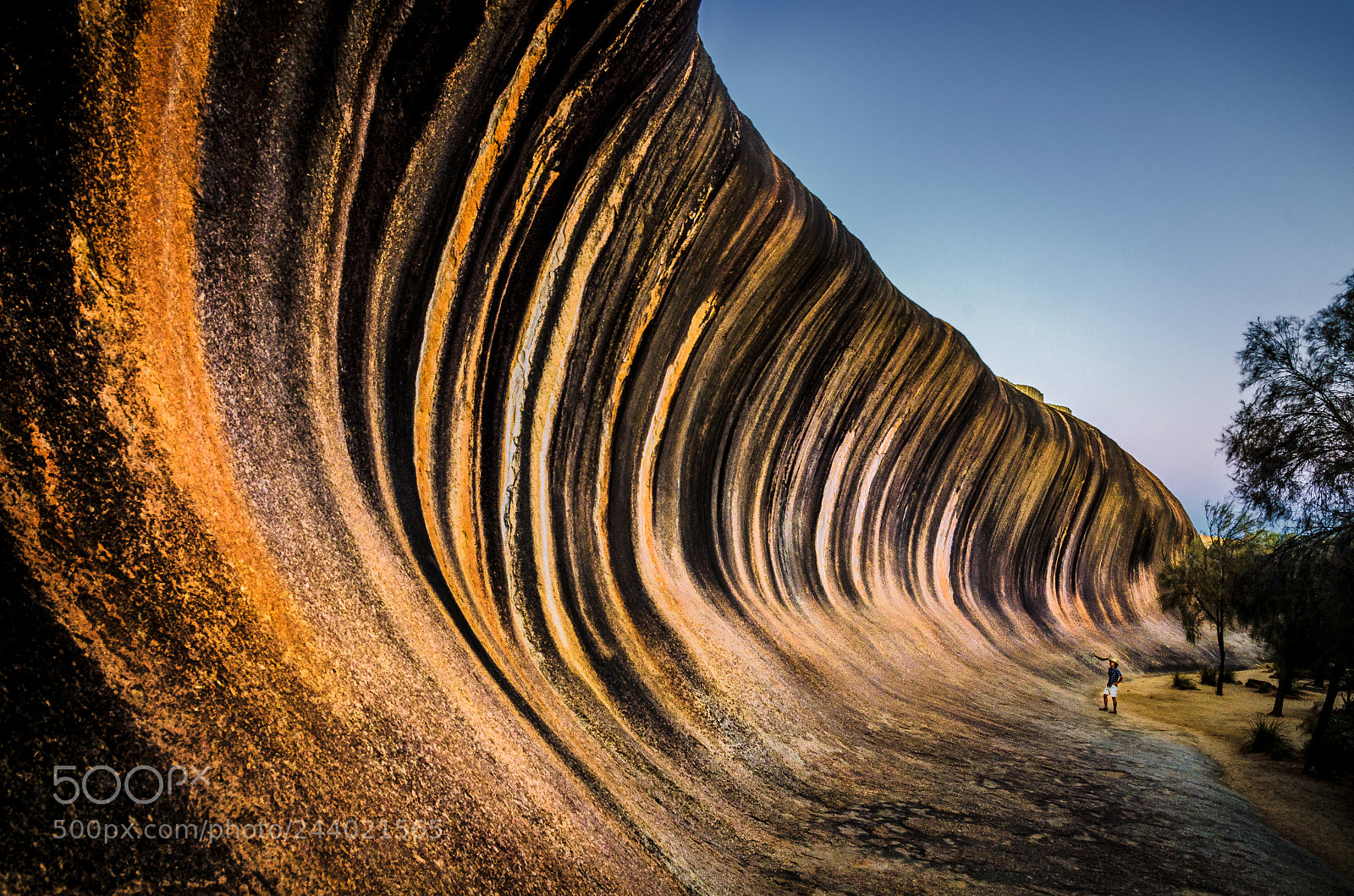Nikon D5100 sample photo. Wave rock photography