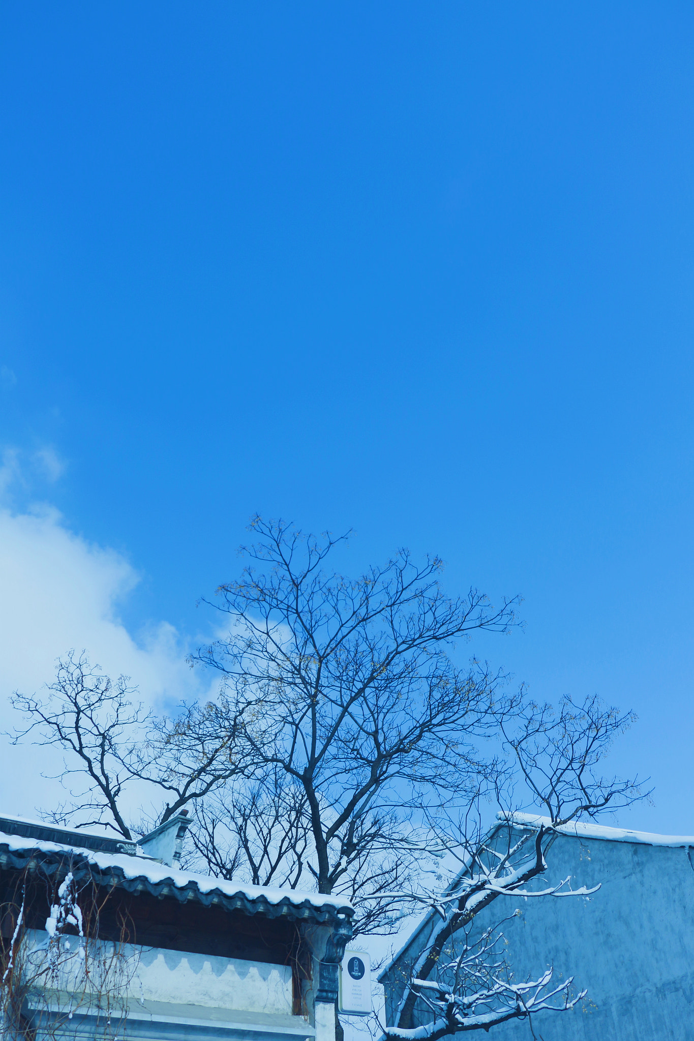 Canon EOS 700D (EOS Rebel T5i / EOS Kiss X7i) + Canon EF 50mm f/1.8 sample photo. The blue sky after the snow stopped. photography