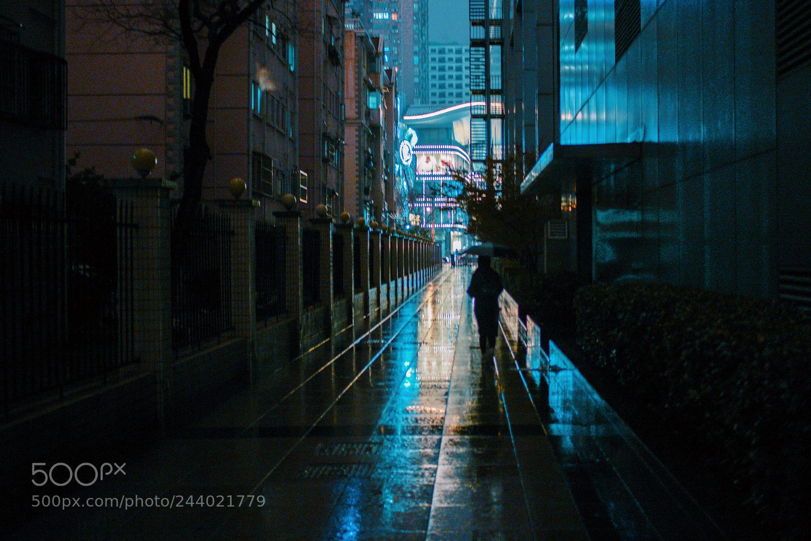 Nikon D600 sample photo. Night photography