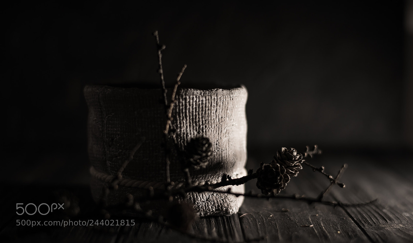 Nikon D810 sample photo. Still life series photography