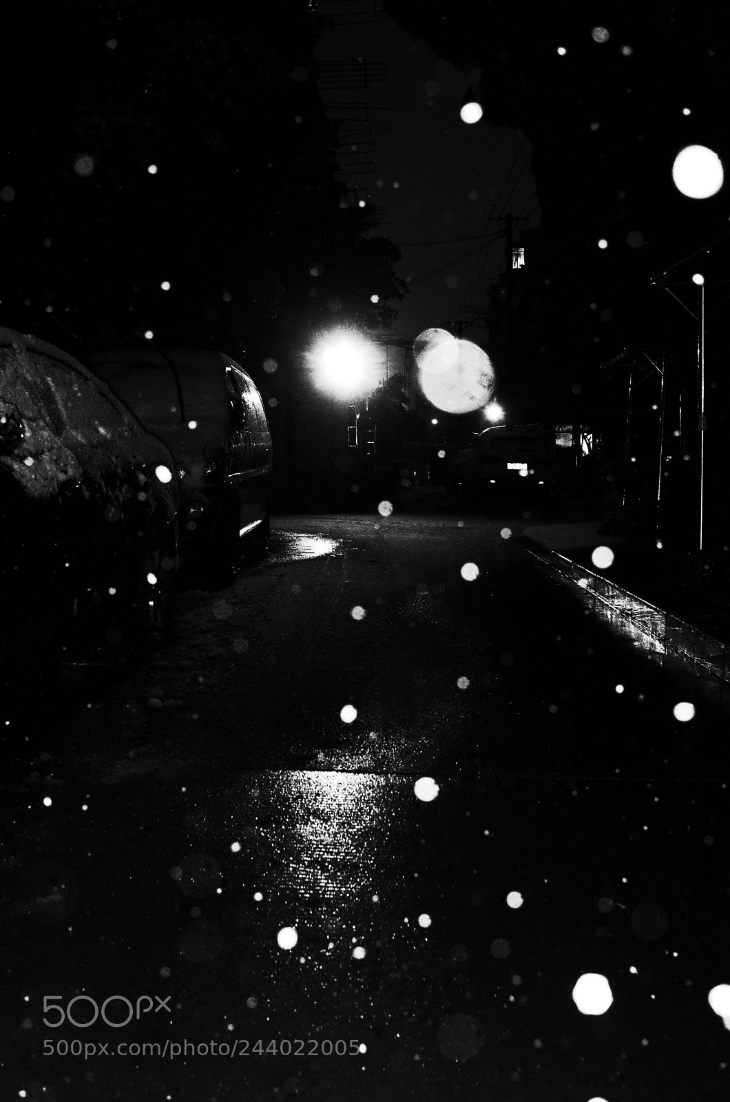 Ricoh GR II sample photo. Amazing snow in shanghai photography