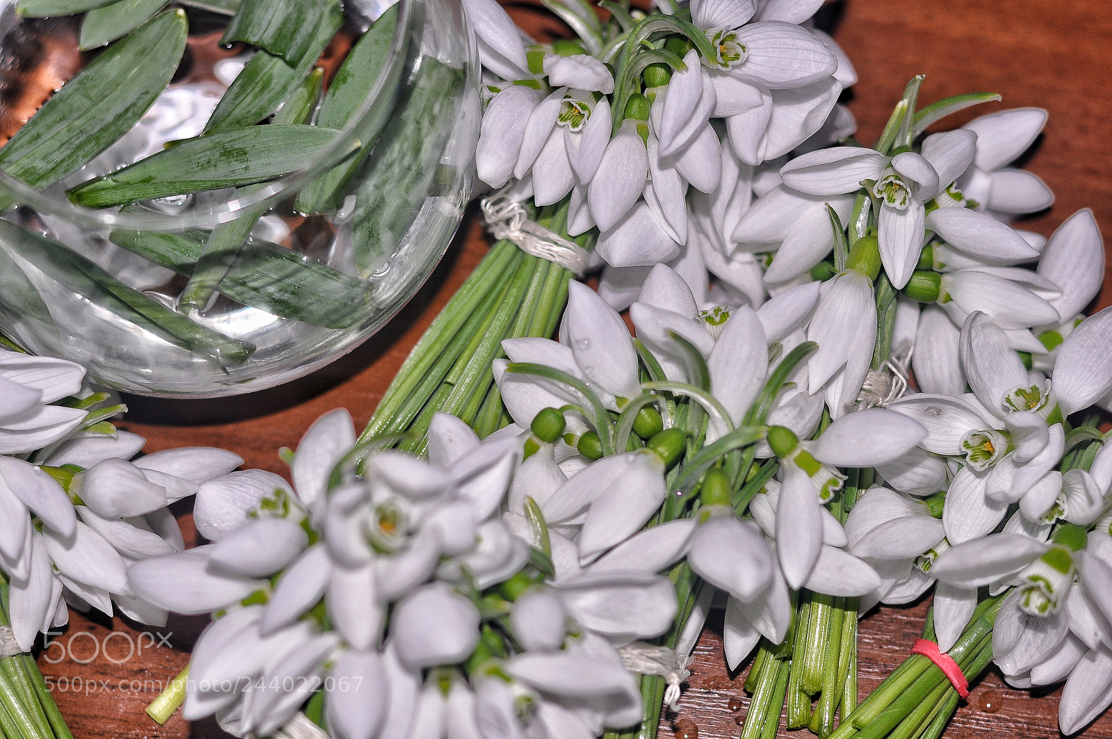 Nikon D5000 sample photo. Untitled photography