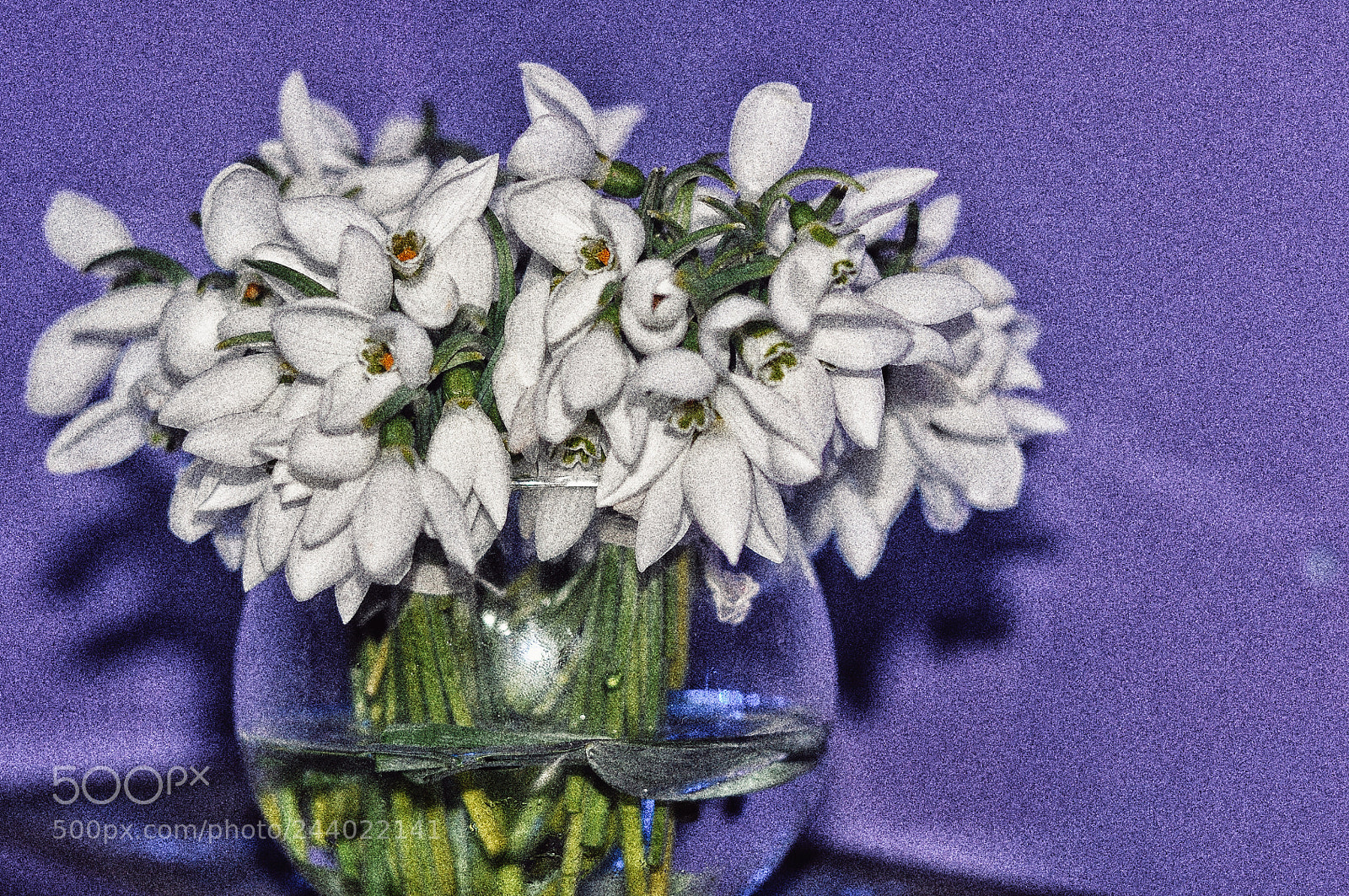 Nikon D5000 sample photo. Untitled photography