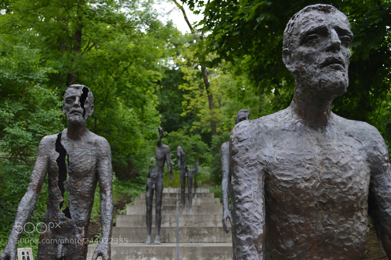 Nikon D3200 sample photo. Torn in half photography