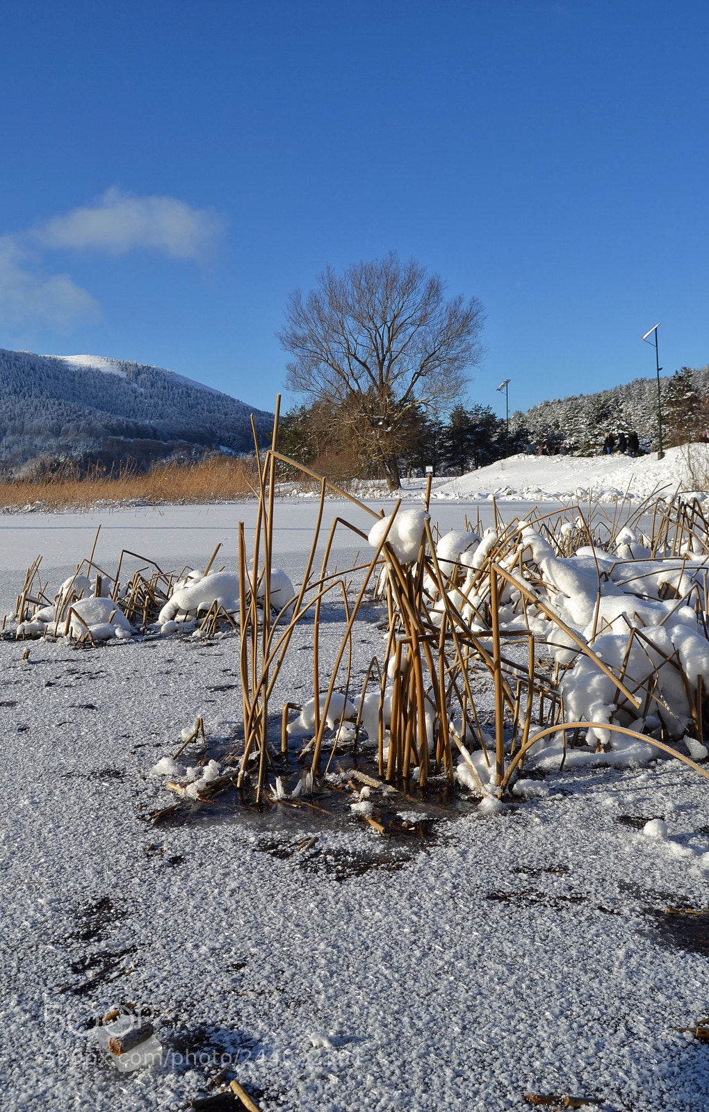 Nikon D3100 sample photo. Lake photography