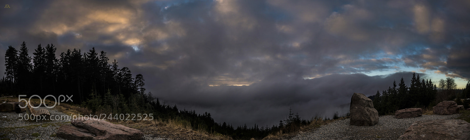 Nikon D800 sample photo. Black forest evening panorama photography