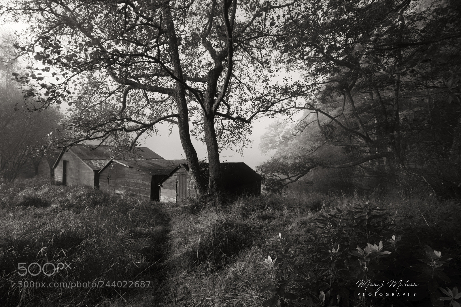 Sony ILCA-77M2 sample photo. Boathouses at loch ard photography