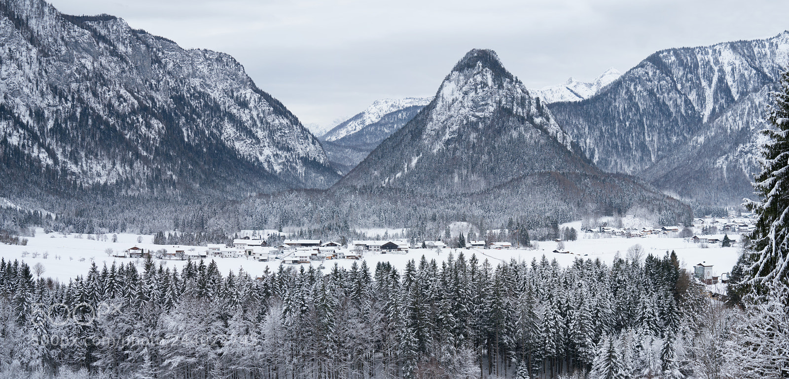 Sony a7R III sample photo. Wintertime.. photography