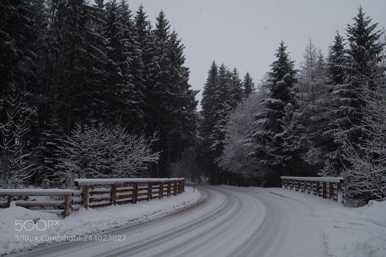 Sony a7R III sample photo. The road to... photography