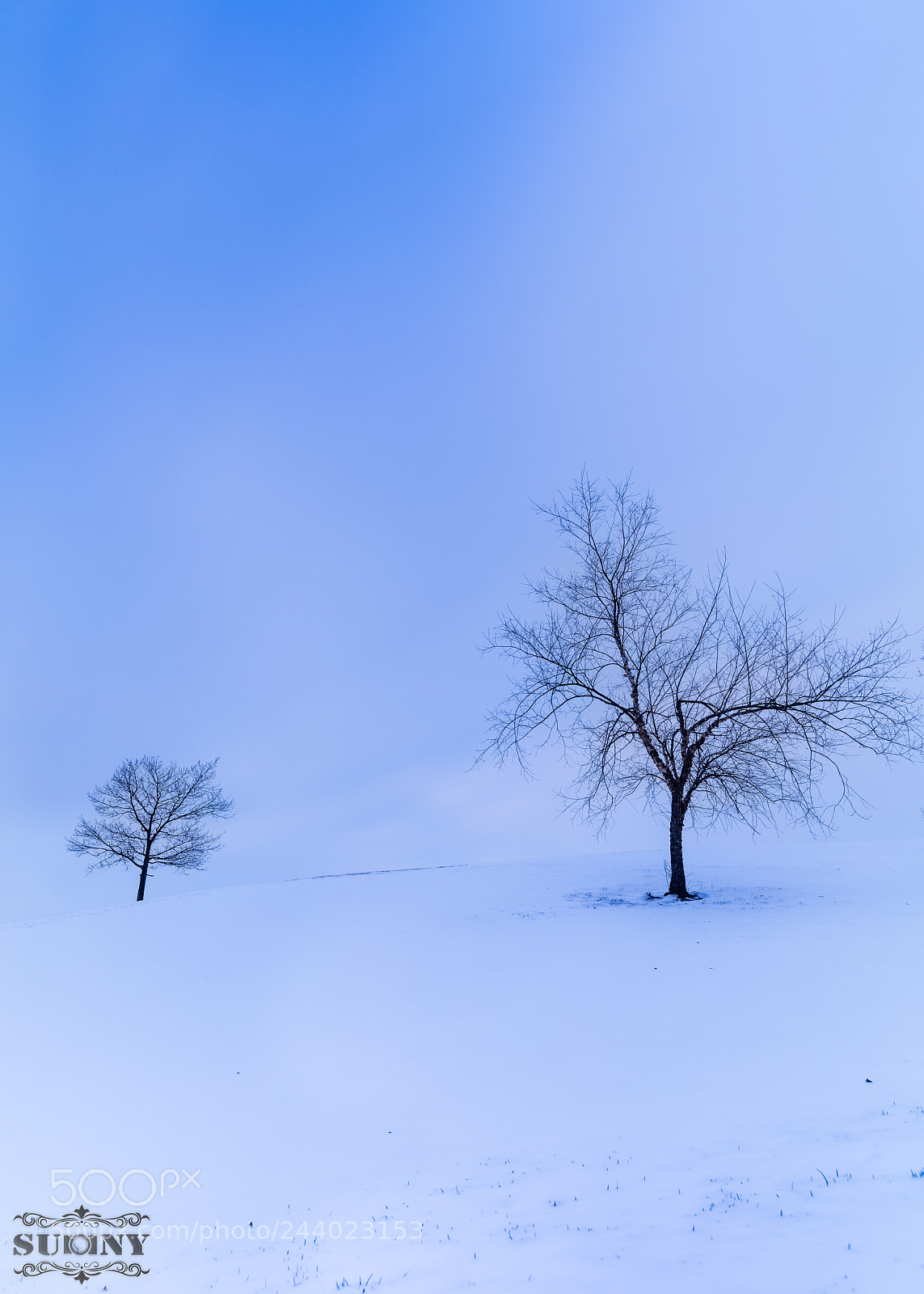 Canon EOS 5DS R sample photo. Snowy evening photography
