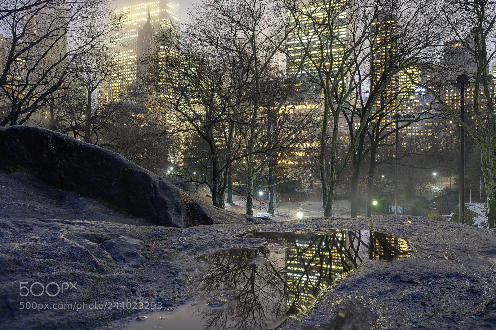Nikon D850 sample photo. Foggy park photography