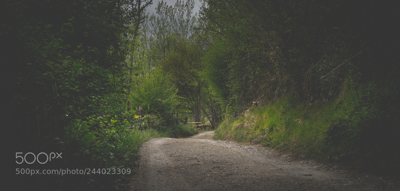 Sony a7 sample photo. The road photography