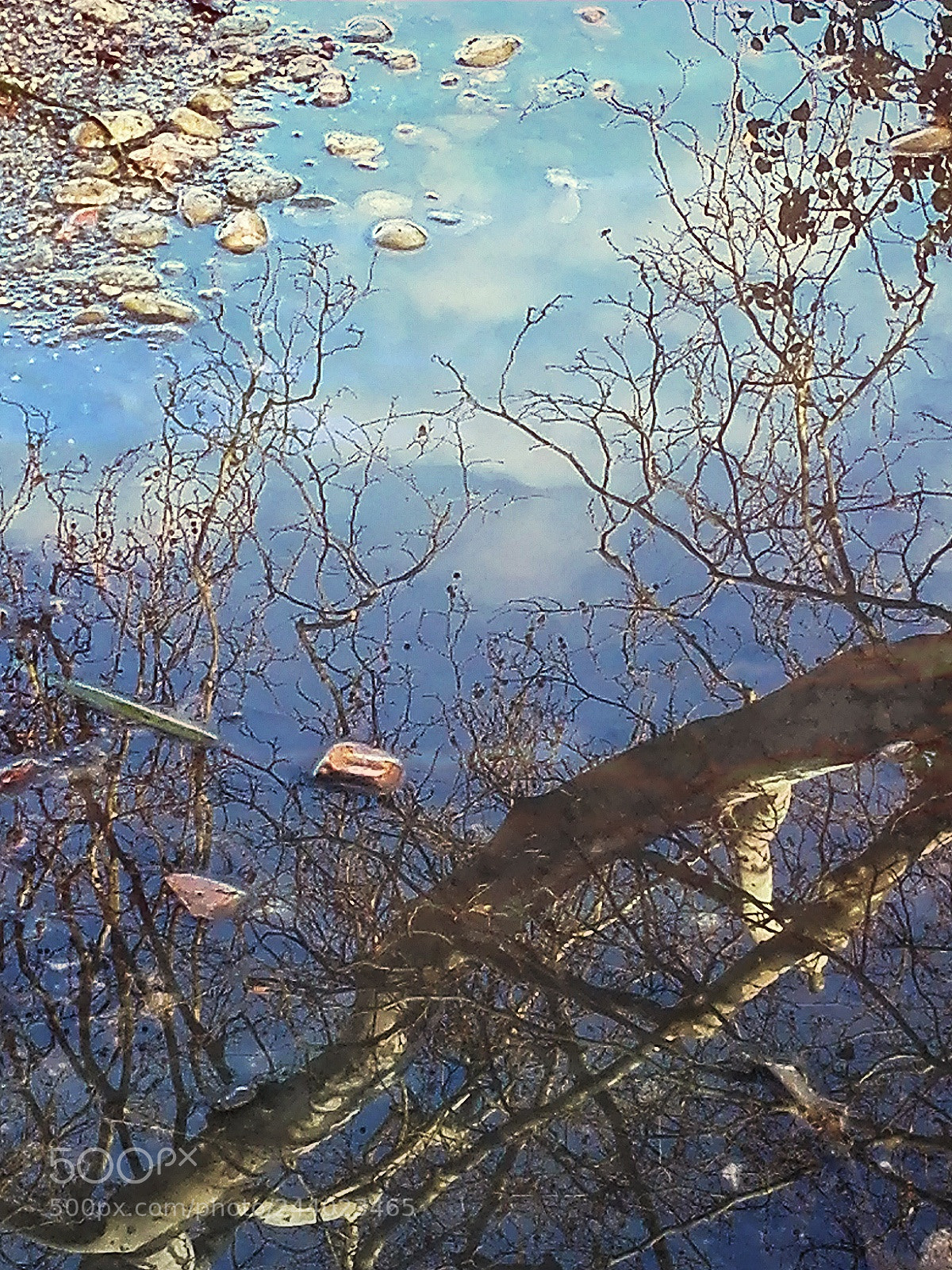 HUAWEI P8 Lite sample photo. Untitled photography