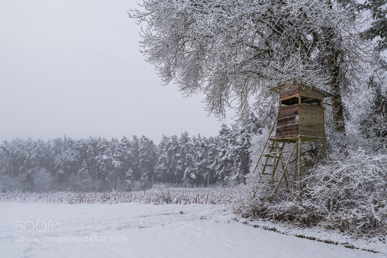 Pentax K-1 sample photo. Hunters platform photography