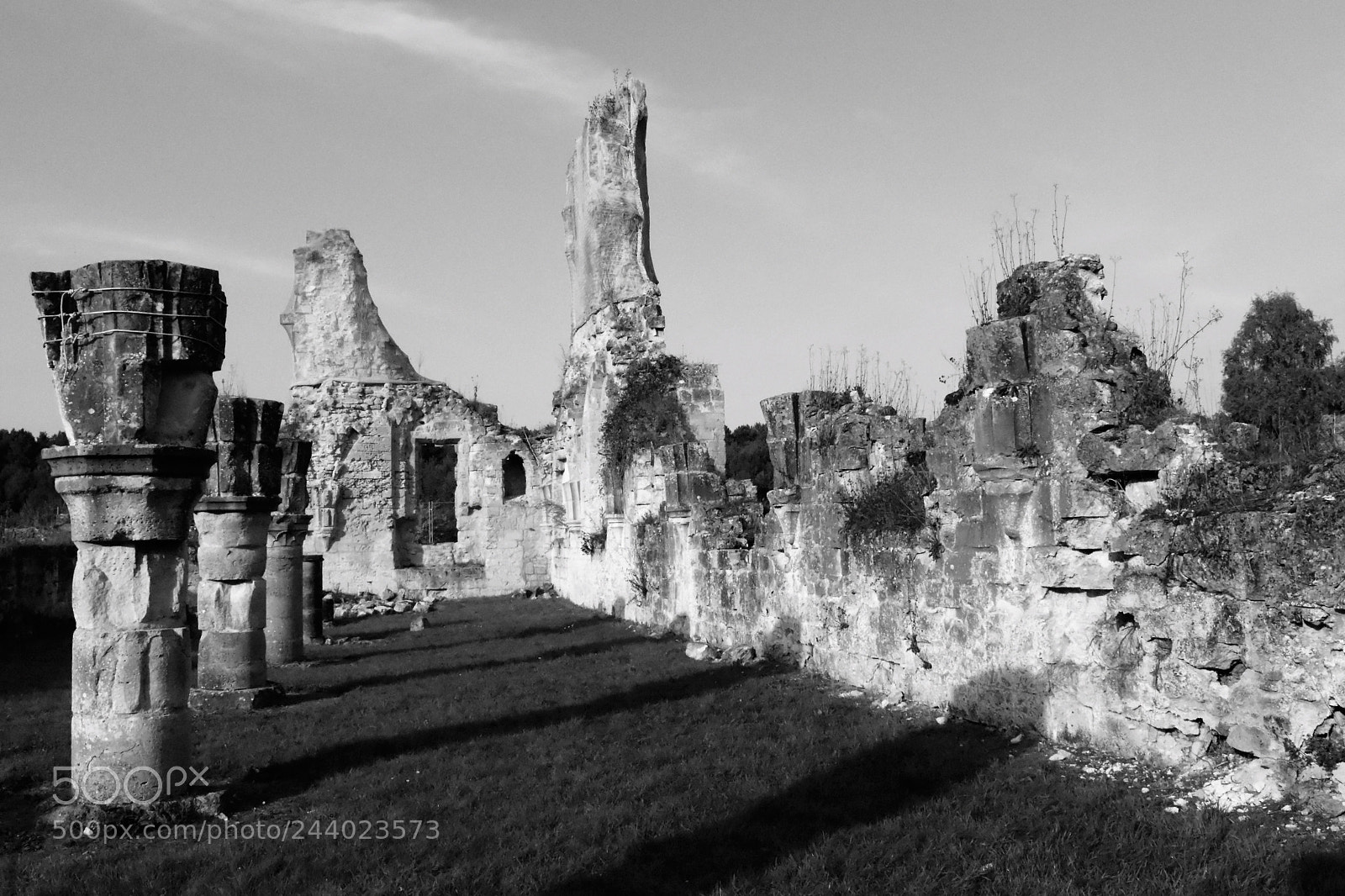 Nikon D5500 sample photo. Abbaye de vauclaire photography