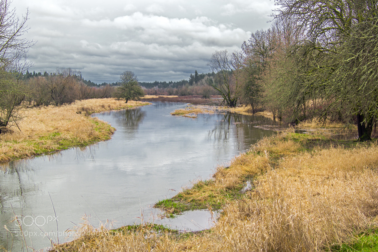 Sony SLT-A77 sample photo. Salmon creek photography