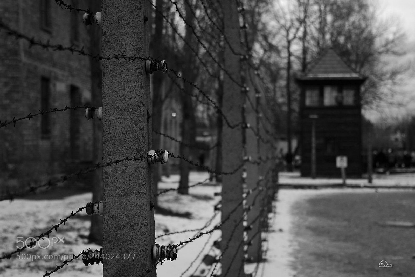 Nikon D810 sample photo. Auschwitz photography