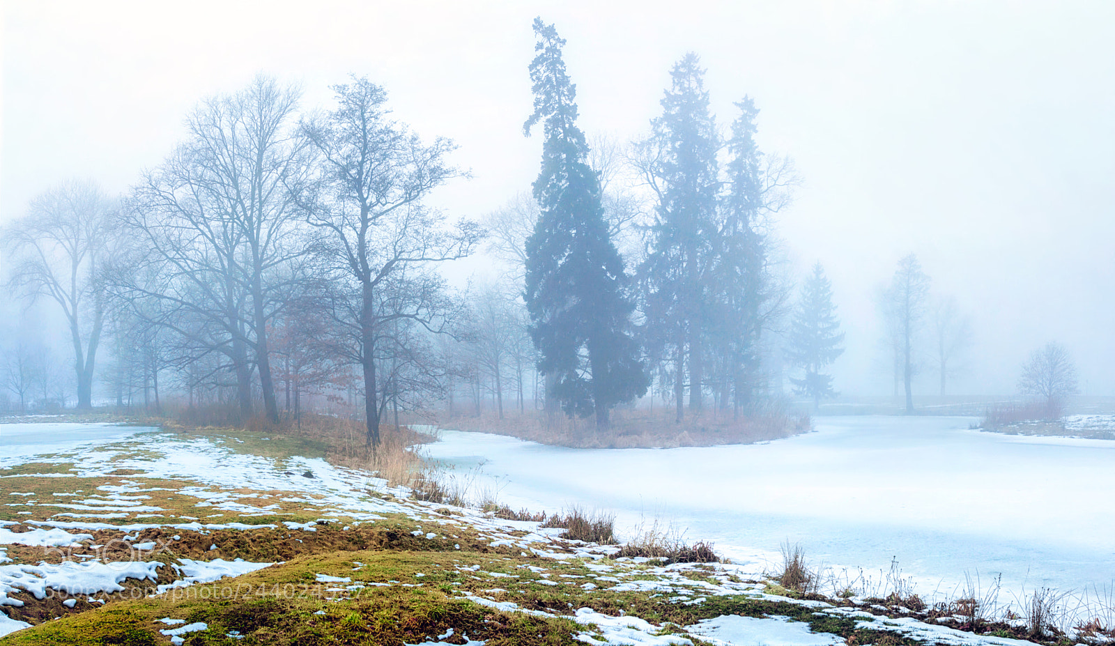 Canon EOS 50D sample photo. Nature, landscape, winter, frost photography
