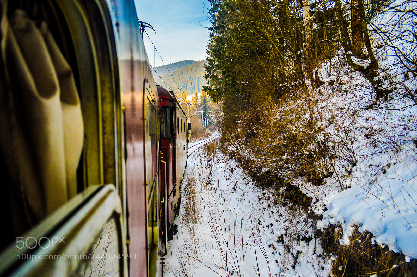 Nikon D3200 sample photo. Running wild photography