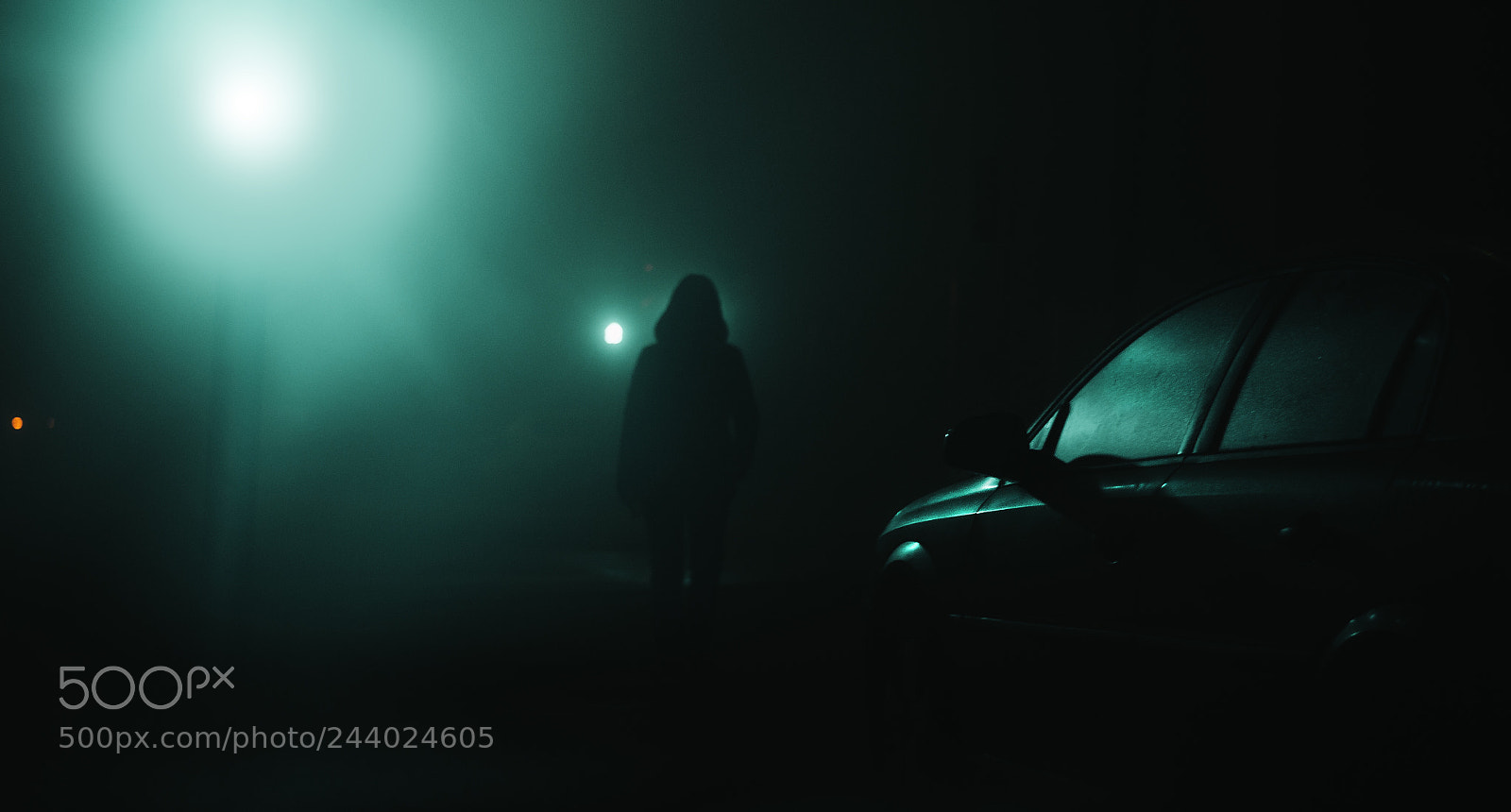 Nikon D3100 sample photo. Fog photography