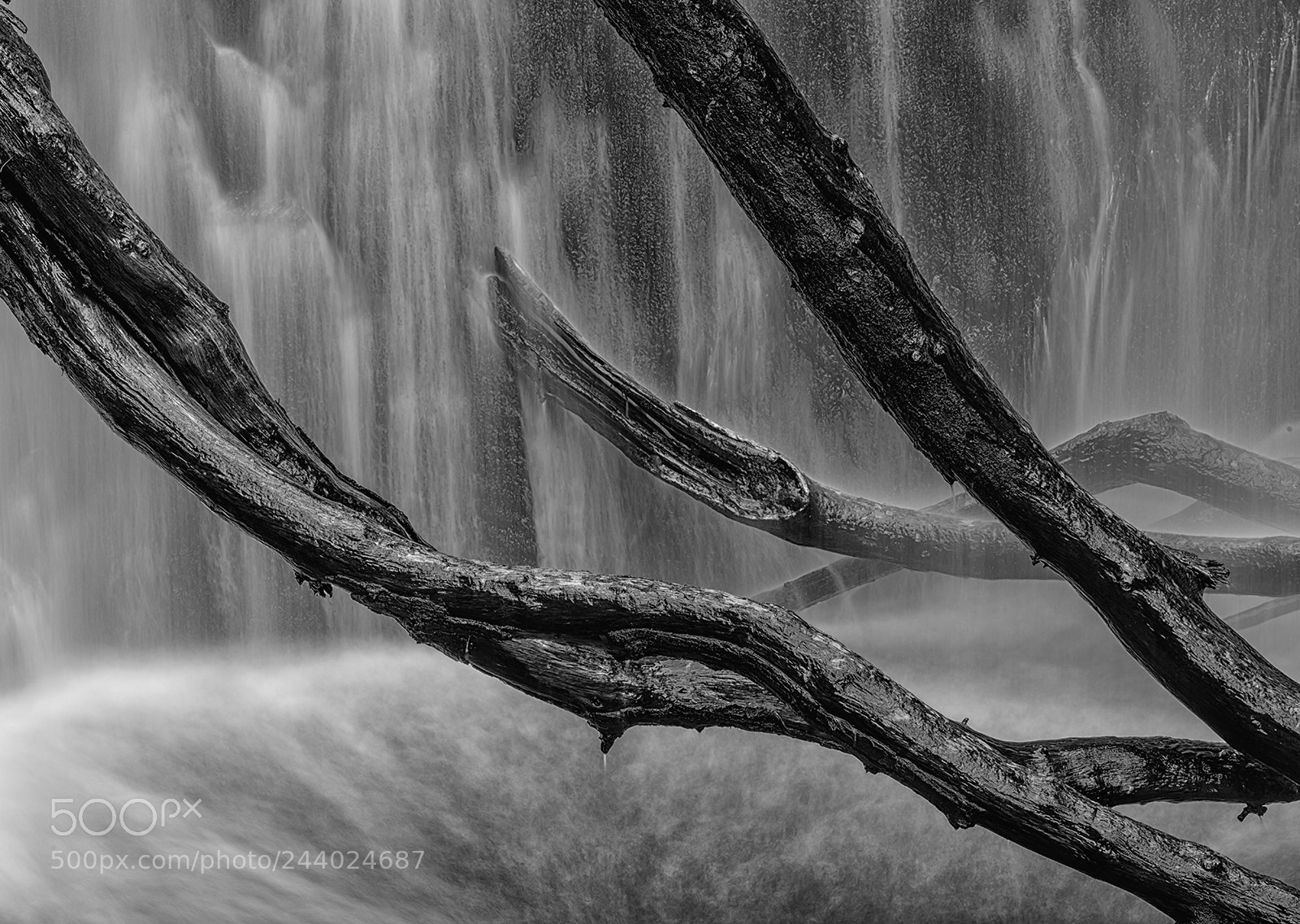Nikon D850 sample photo. Dhoon glen falls, isle photography