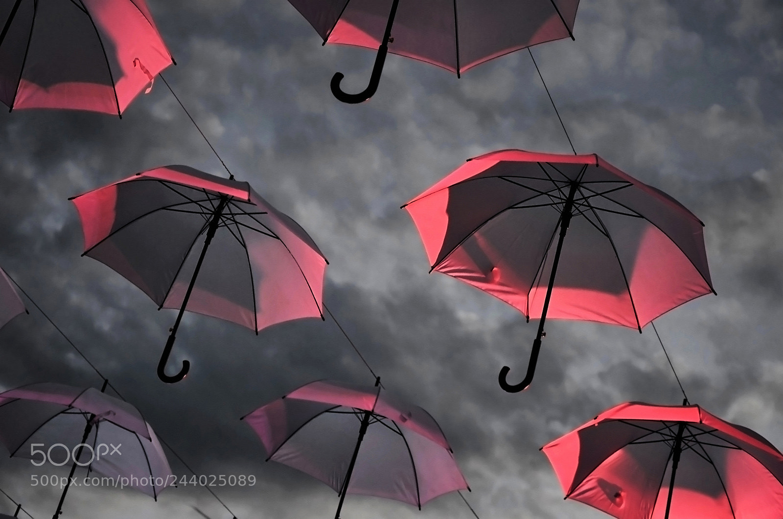 Nikon D5100 sample photo. Umbrella photography