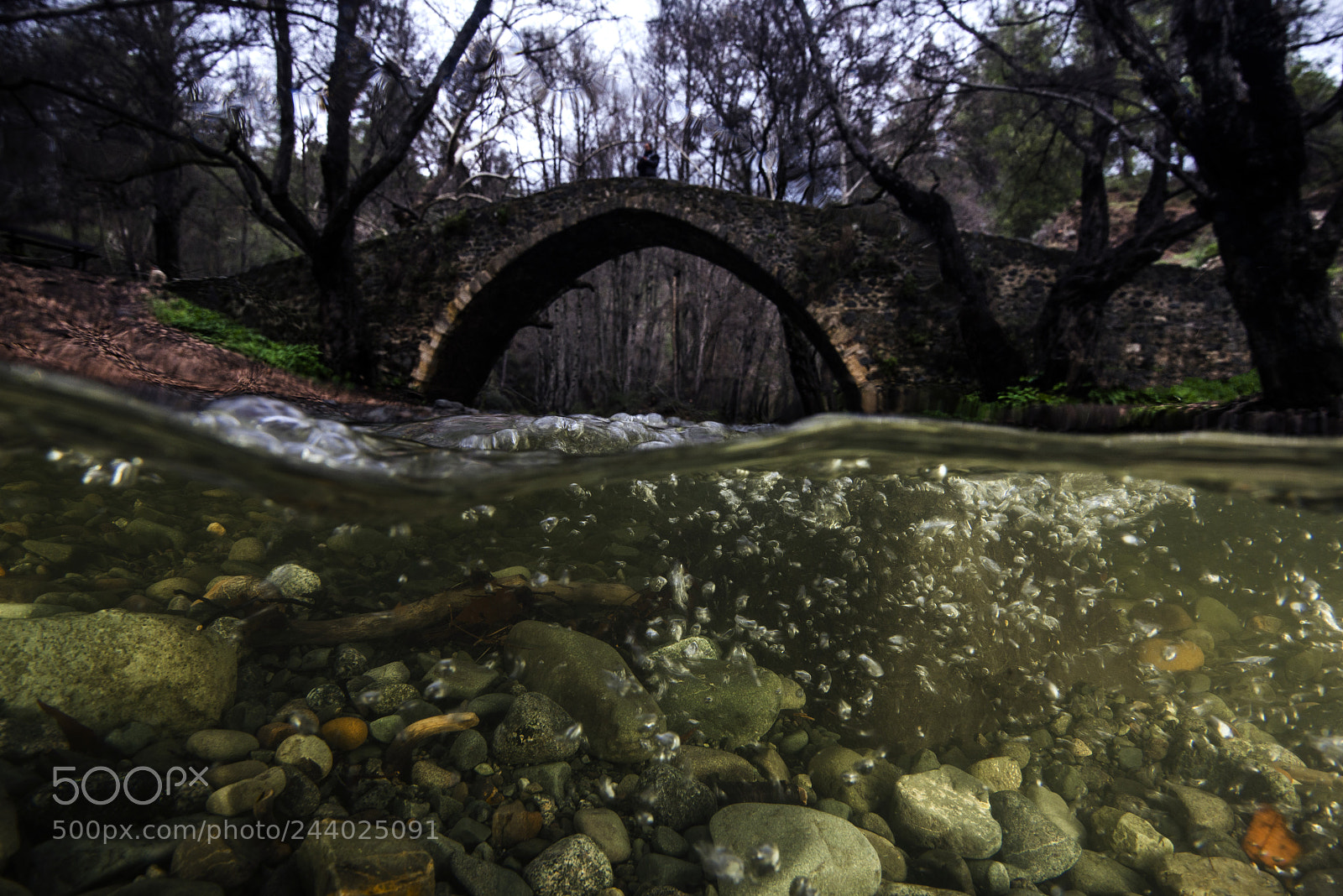 Nikon D800E sample photo. The river photography