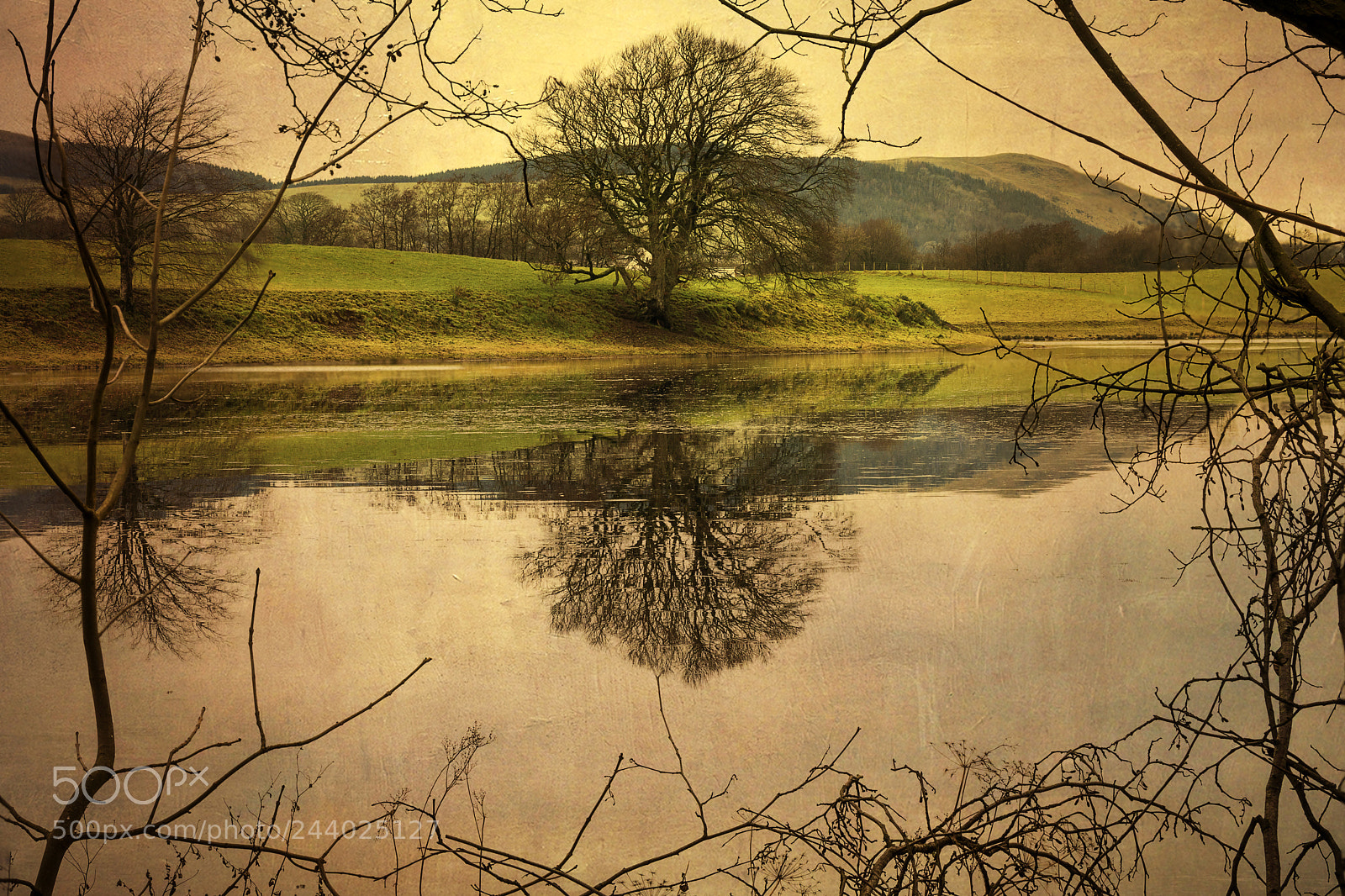 Nikon D810 sample photo. Mill loch photography