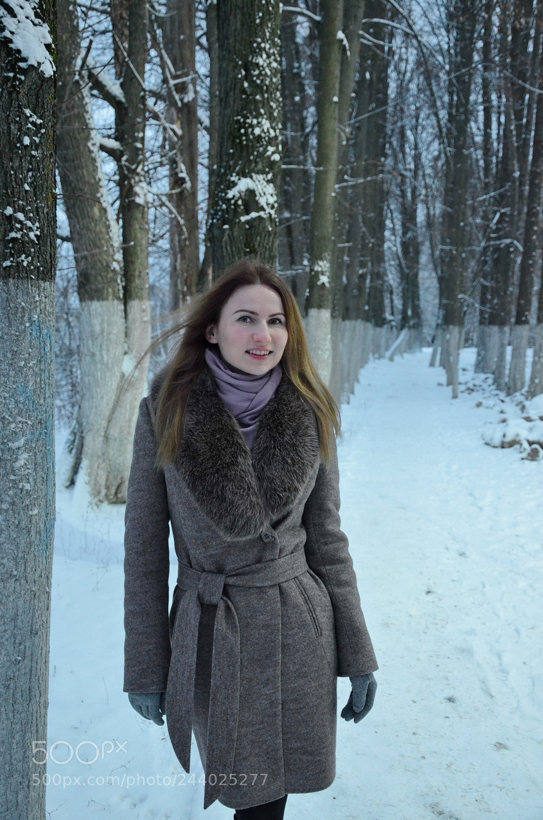 Nikon D5100 sample photo. Frozen princess photography