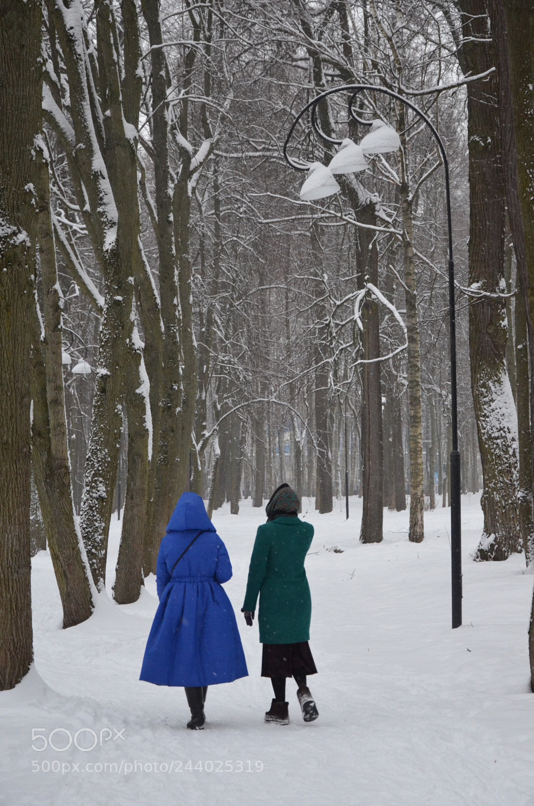 Nikon D5100 sample photo. Park photography