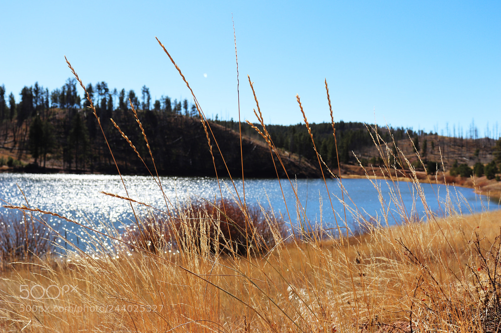 Canon EOS 800D (EOS Rebel T7i / EOS Kiss X9i) sample photo. Waterfront photography